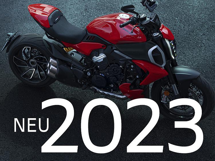 Dare to be Bold - Wage es, mutig zu sein